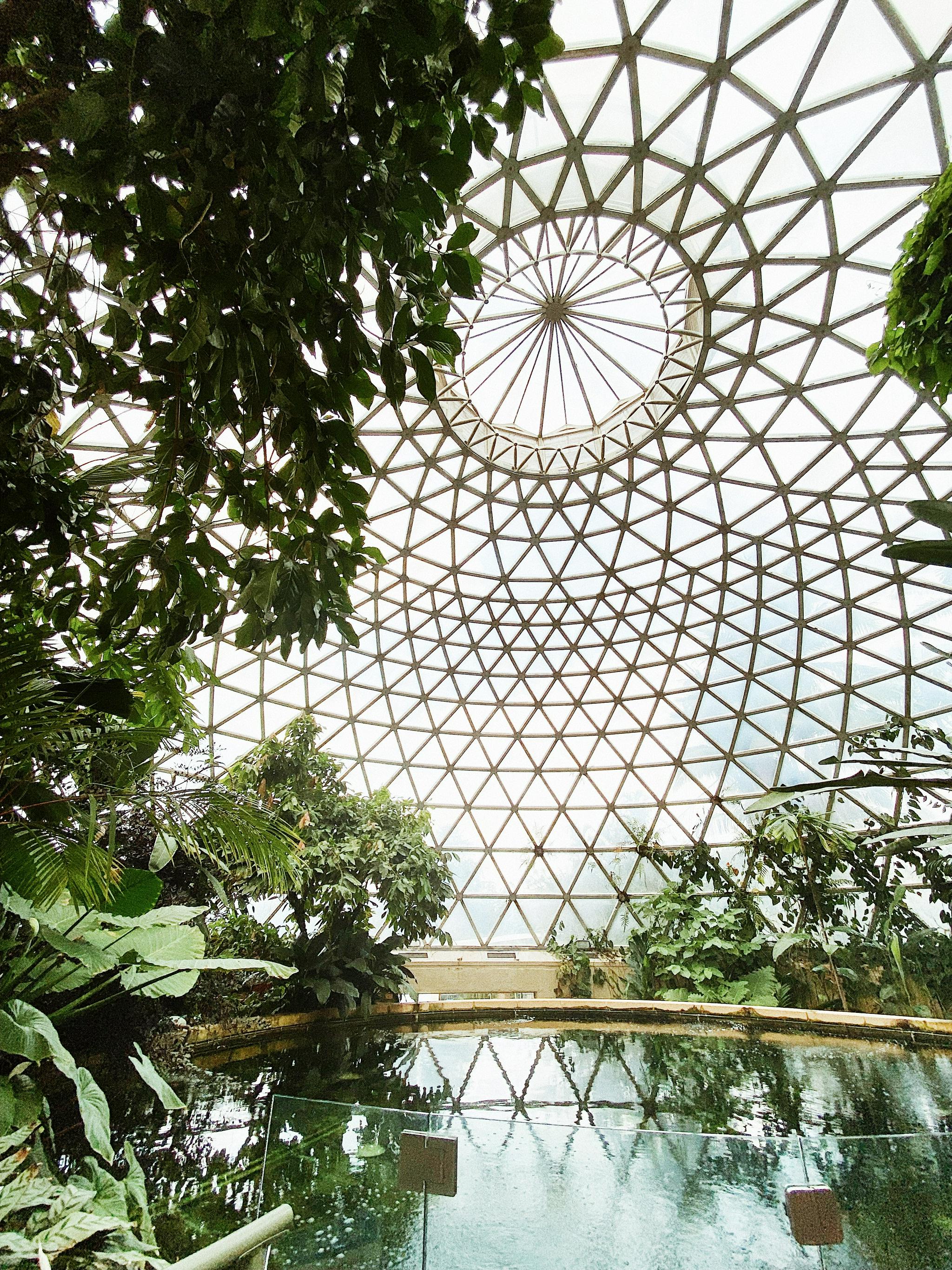 思窝星图腾:布里斯班植物园,从植物的生根发芽,聊聊人生的选择
