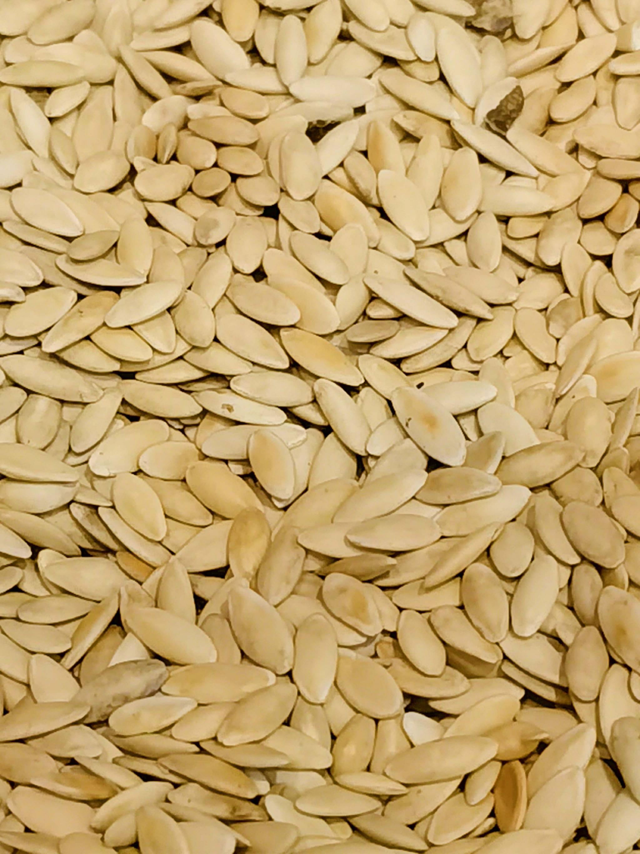 黄瓜籽,原创拍摄|黄瓜籽|原创|拍摄_新浪新闻