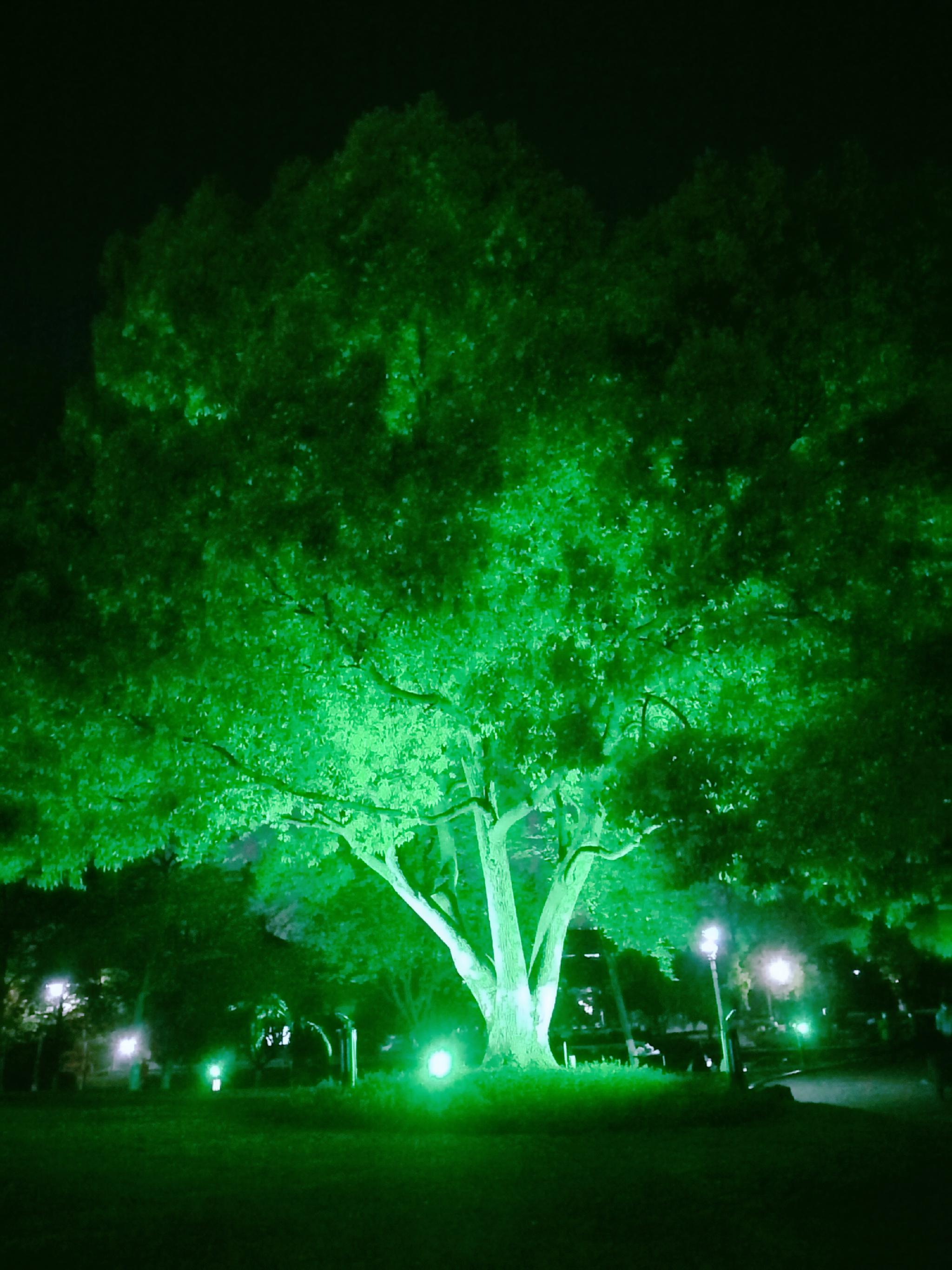 夜幕下的萧山美翻了!流光溢彩魅力四射,你见证了吗?