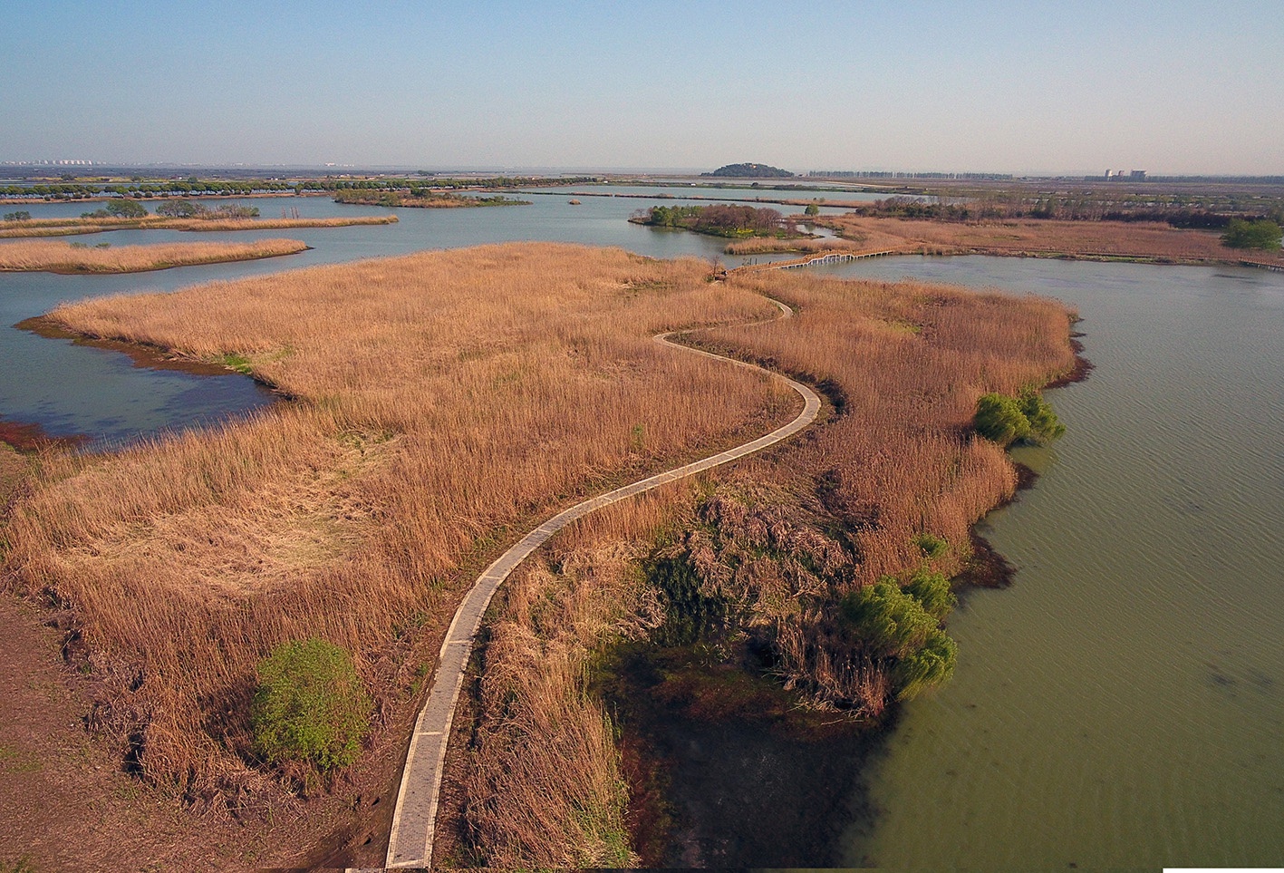常州黄天荡湿地公园图片