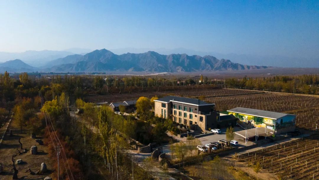 位于宁夏银川的迦南美地酒庄2025年,银川葡萄酒预计综合产值500亿元