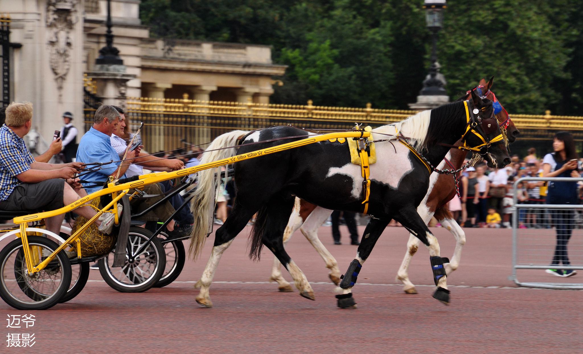 快速行驶过白金汉宫的马车【原创摄影】