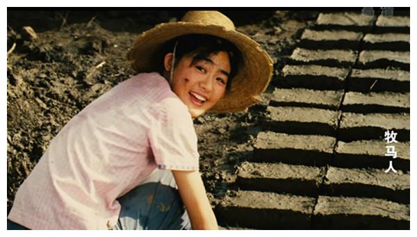 电影《牧马人》时隔37年再度爆红,续集却为何夭折__财经头条
