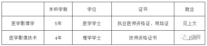 专业篇丨医学影像学、医学影像技术：一字之差，一墙之隔-修订版