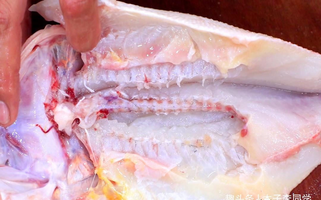 否则鱼肉又老又柴,腥味还重