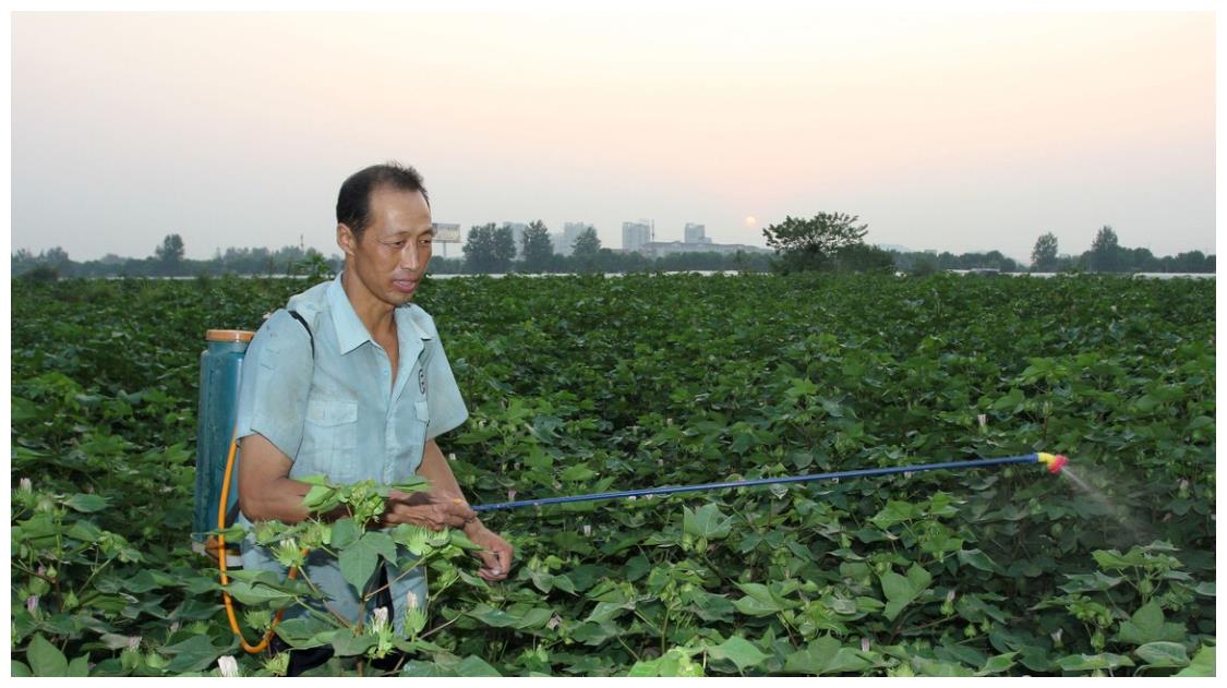 恶霉灵是一种常用的无公害农药！使用前我们一定要注意这几点休闲区蓝鸢梦想 - Www.slyday.coM