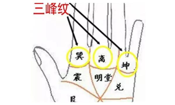 看你手上有“通天纹”吗？有这种手相的女人，百年难得一遇！
