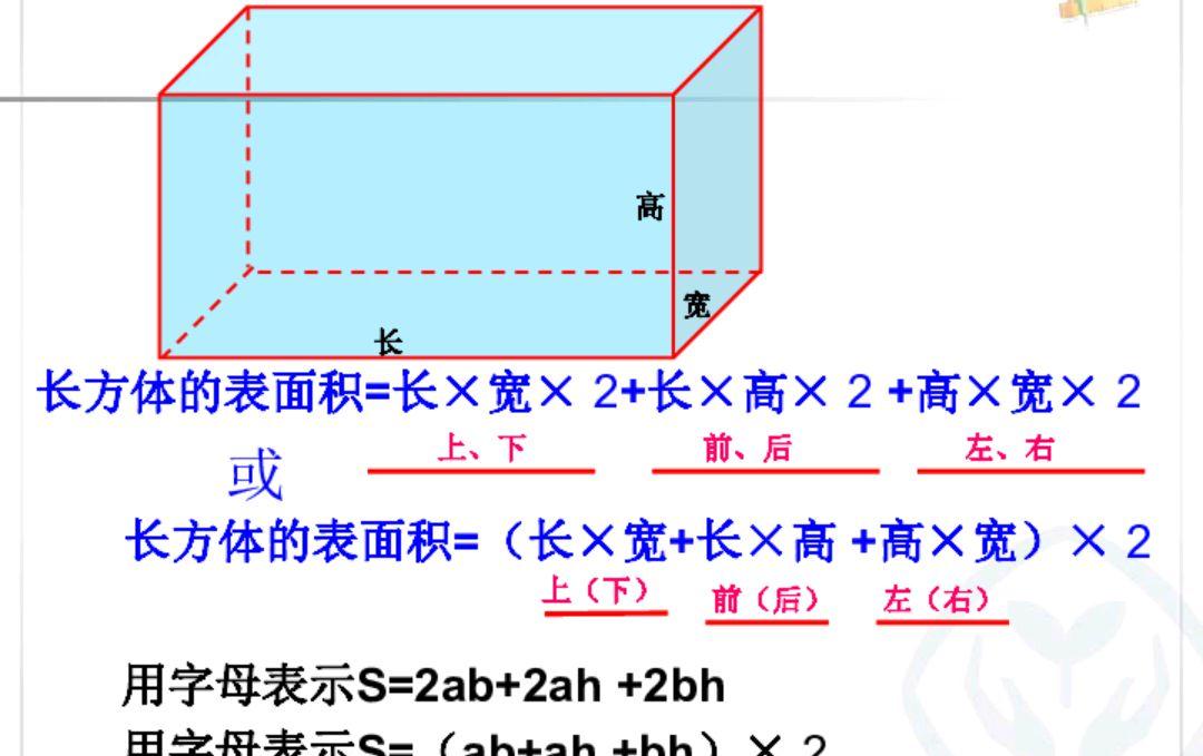 知識點超全的長方體和正方體的表面積