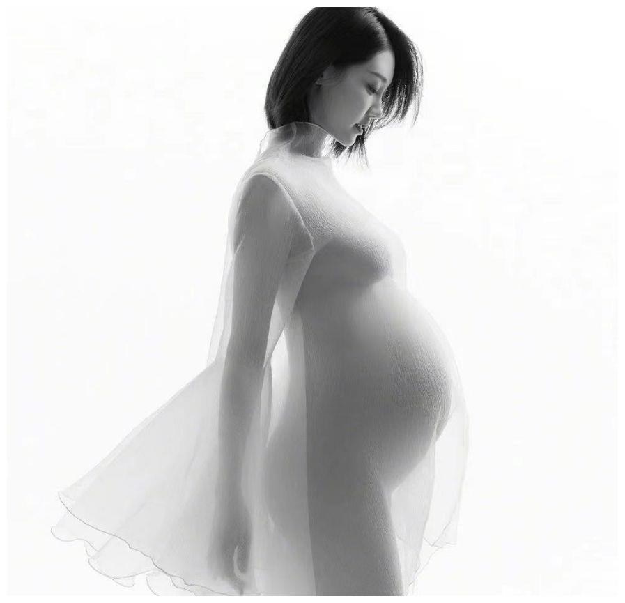 女明星怀孕只胖肚子林心如苗苗还好看到伊能静真是秀儿