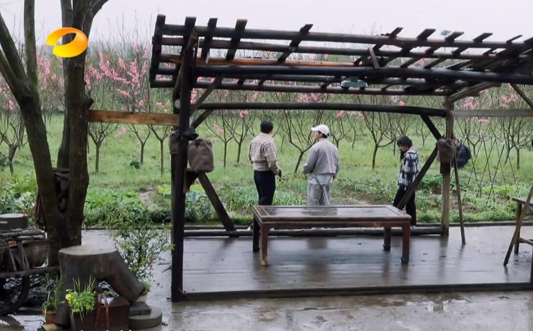 向往的生活第五季开始尝试转型可惜彭昱畅的聪明用错了地方