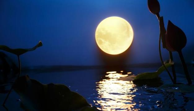 吟诗赏月,苏东坡和佛印和尚,黄庭坚的浪漫之约|苏东坡|黄庭坚|和尚_新