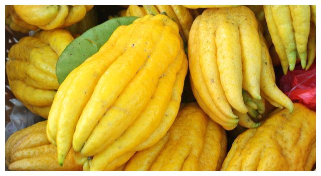 农村产量很高的瓜,人称"千金瓜",吃的人却很少