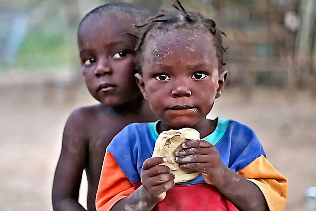 饥饿游戏第一部