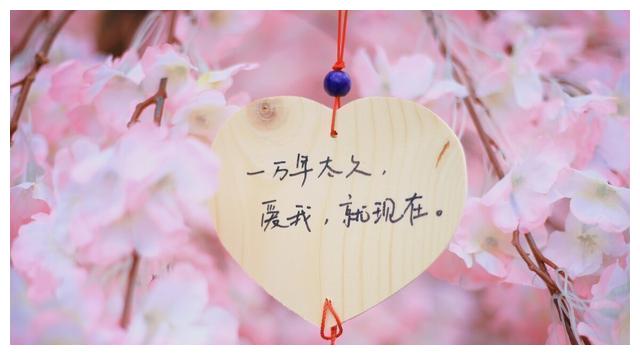 对老婆好，是一个男人一生当中最重要的事情(图5)