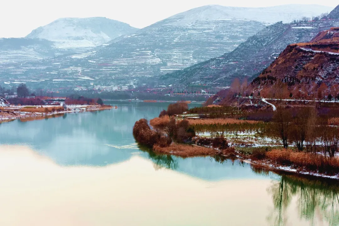 在洮河湿地公园,来一场深冬邂逅