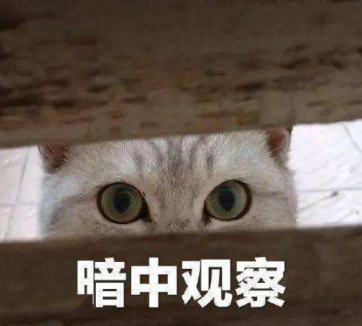 被TA们的相处模式整破防了……第二个太戳人！休闲区蓝鸢梦想 - Www.slyday.coM