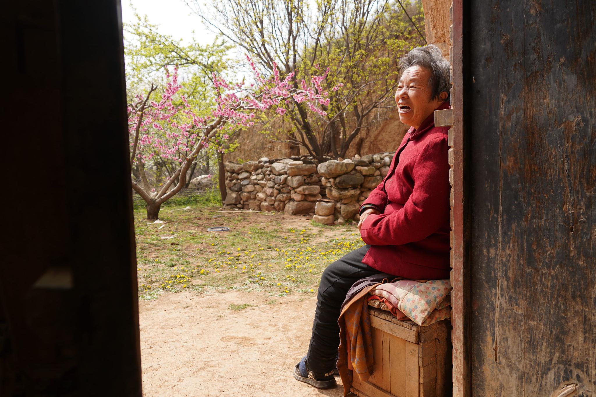 7旬农村大娘院前有棵30多年"平安树",10万不卖,看长啥样