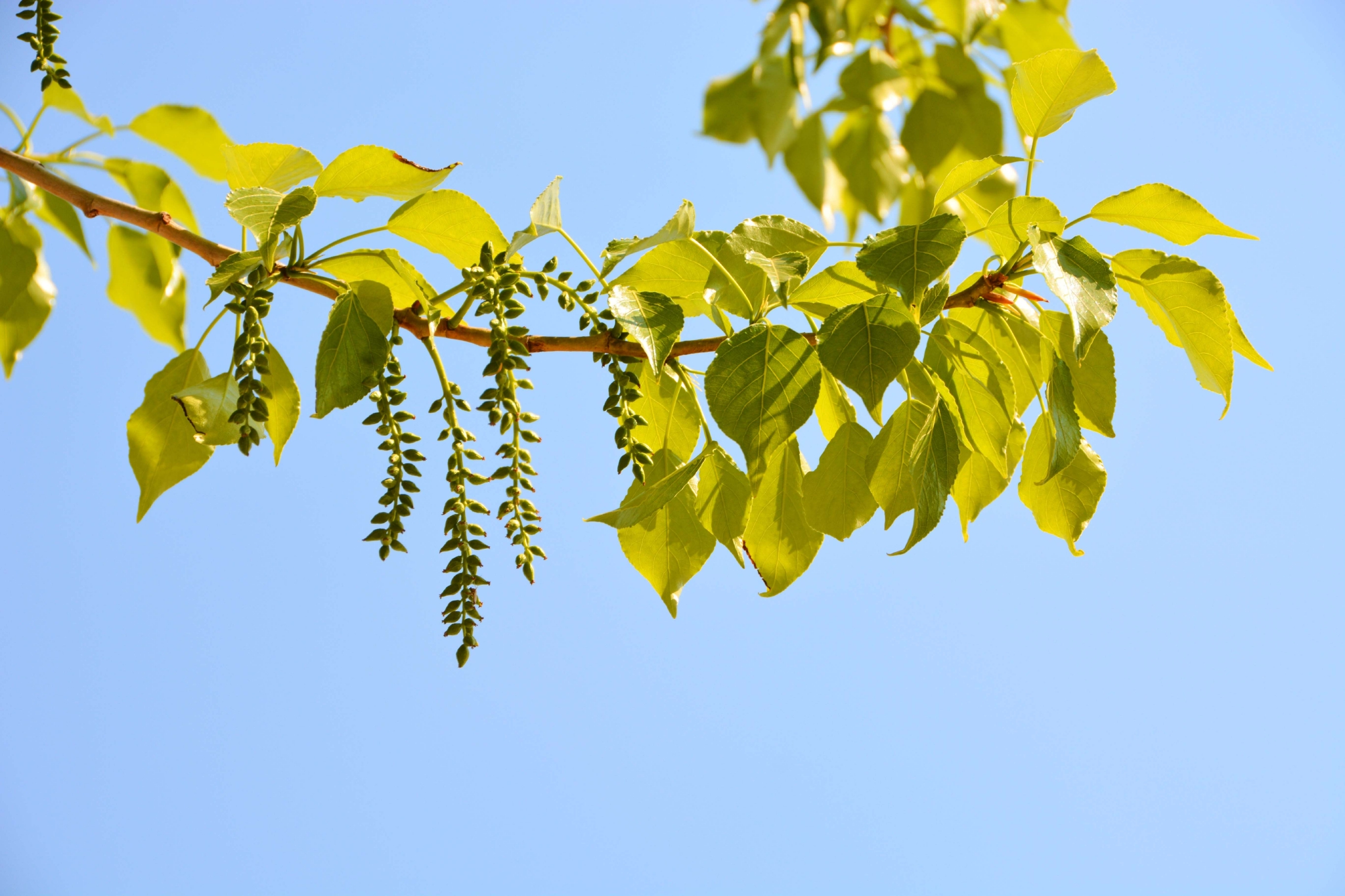 小米哈尔滨第一台