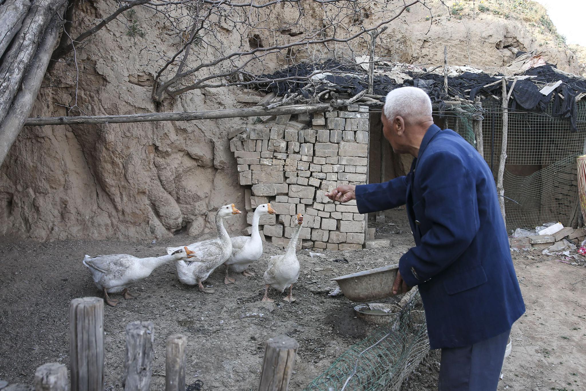 王大爷说今年春天是个特殊时期,他呆在这黄土大沟了也是一直没有回过