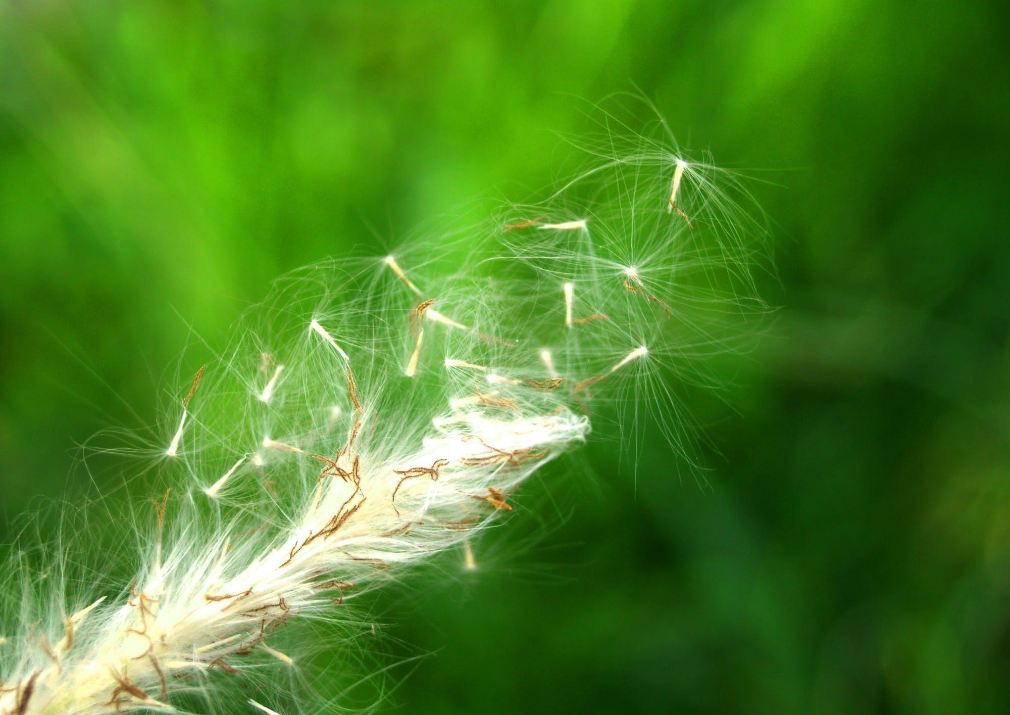 「生活诗歌」听风的早晨|静谷|季节变幻|兰馨_新浪新闻