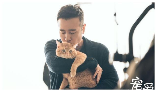 3狗2猫1猪的故事4亿票房，《宠爱》是真，泪点密集也是真休闲区蓝鸢梦想 - Www.slyday.coM