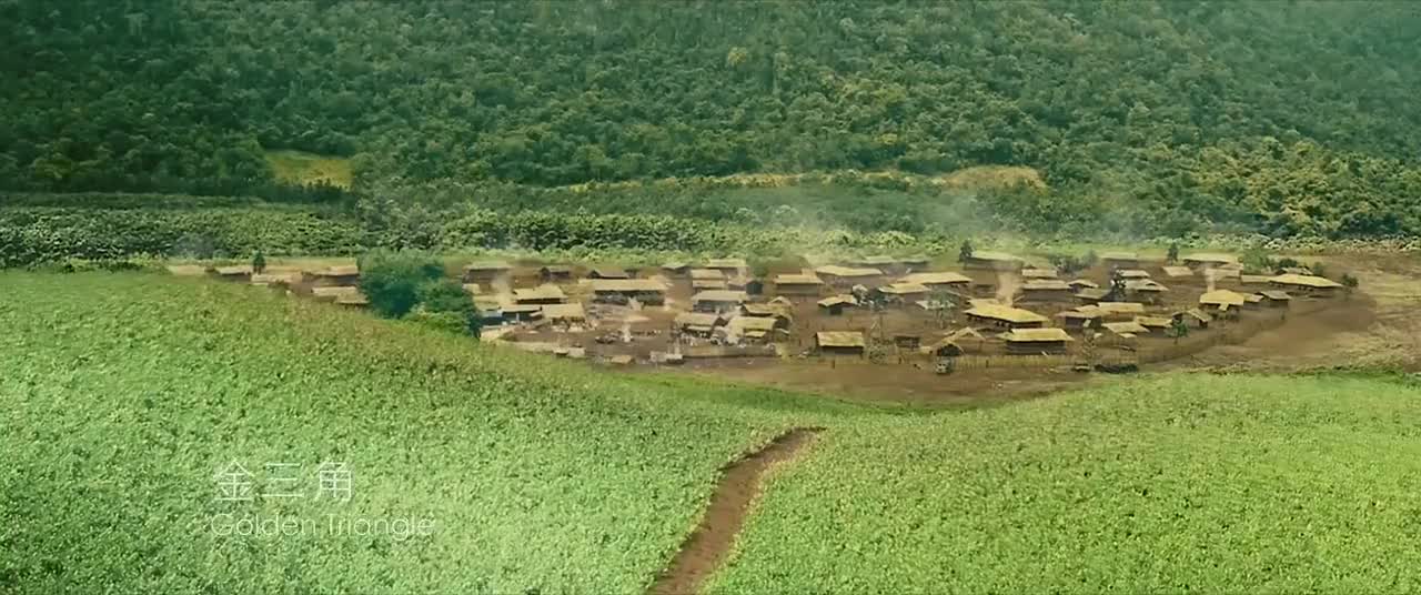 追龙乃密将军想要杀价谁成想阿豪和玫瑰早就联手了