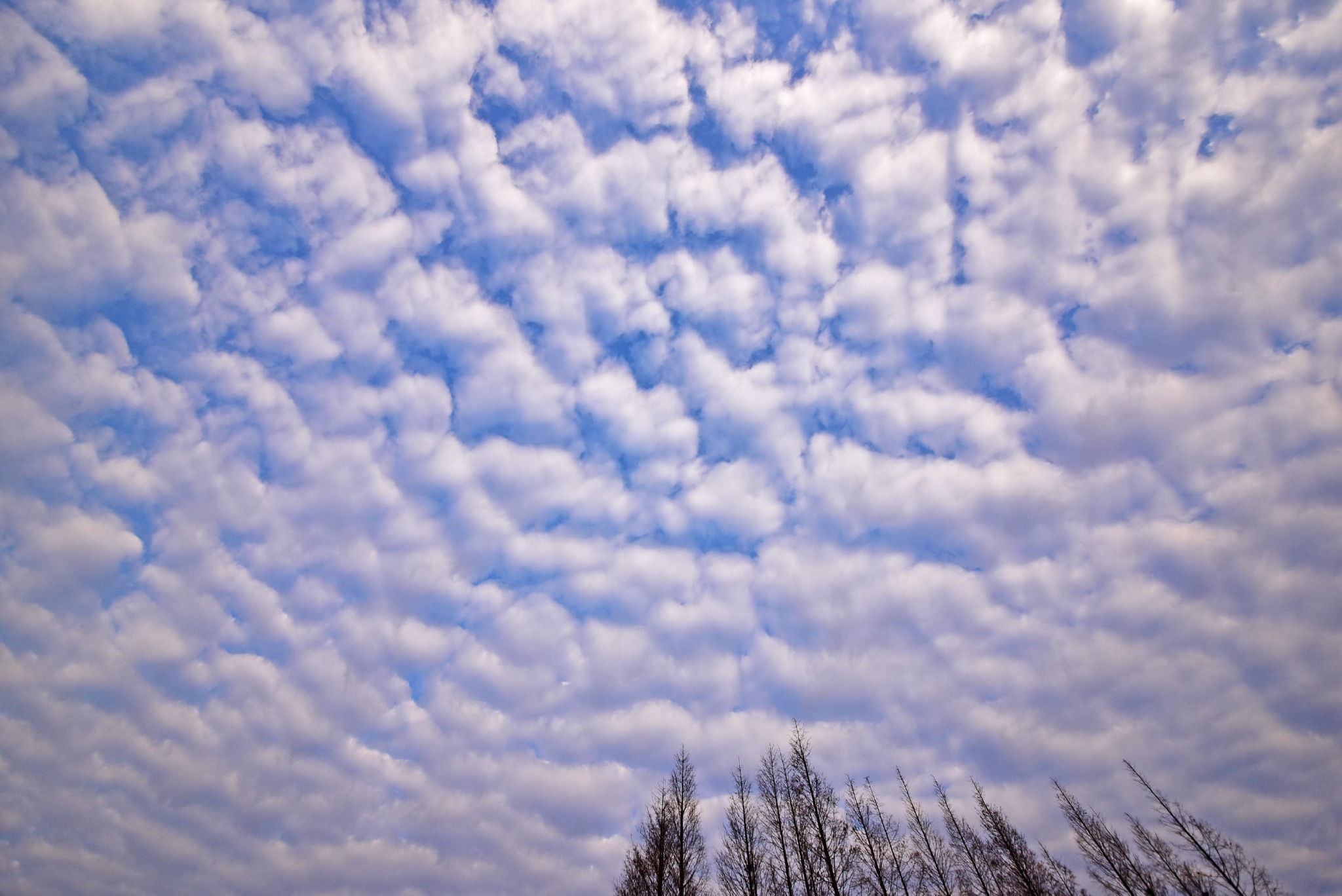 2022年元旦的早晨,江苏无锡斗山拍到的天空云系.