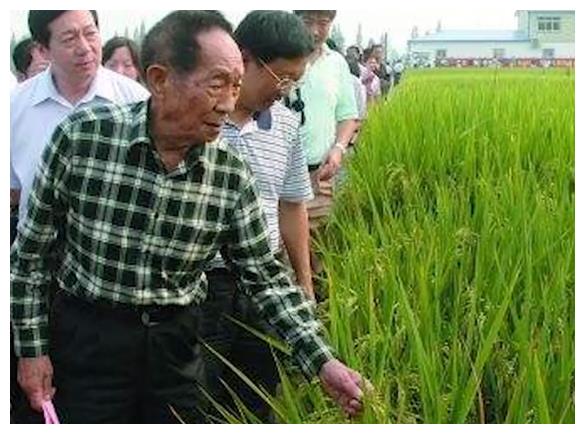 中国是世界上人口最多的国家吗_世界上华人占比最高的十个国家,你去哪个?(2)