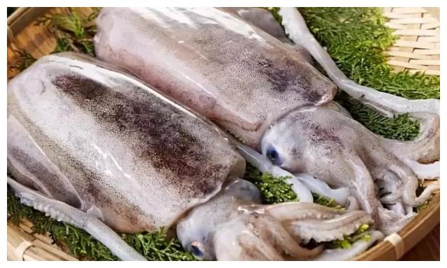 秋捕海鲜多 章鱼 鱿鱼 墨鱼你能分得清 财经头条