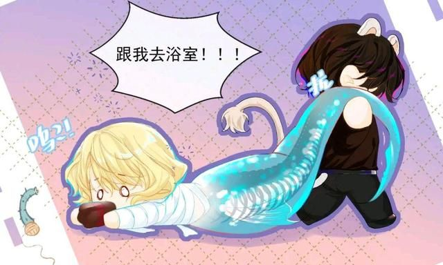 兰波万zg809蓝牙音箱的二维码是什么？