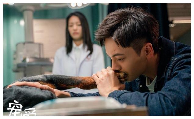 3狗2猫1猪的故事4亿票房，《宠爱》是真，泪点密集也是真休闲区蓝鸢梦想 - Www.slyday.coM