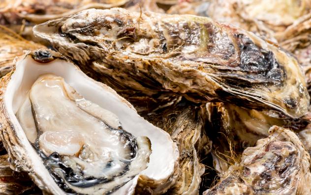 亿恒牡蛎肽粉固体饮料的功效 亿恒牡蛎肽效果怎么样