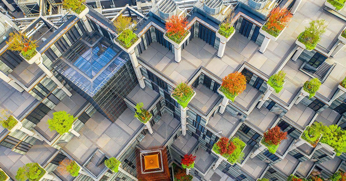 上海一奇葩建筑高低错落上面种植千棵树木被称魔都空中花园