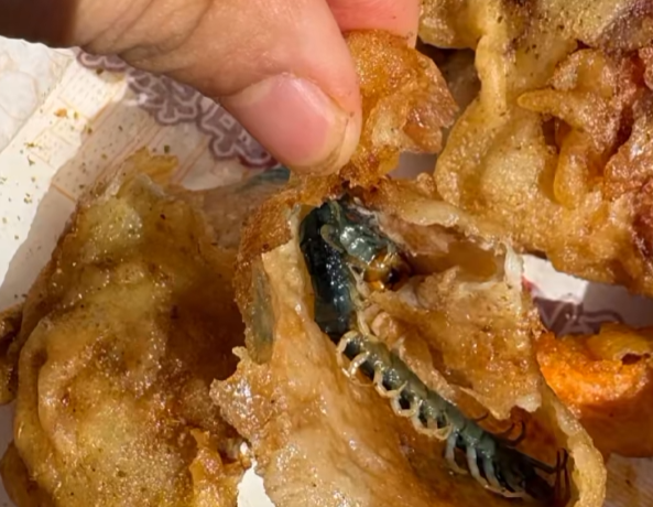 顾客炸鸡里吃出蜈蚣,门店拒千元赔偿,律师称索赔合法。 顾客炸鸡里吃出蜈蚣,门店拒千元赔偿,律师称索赔合法。