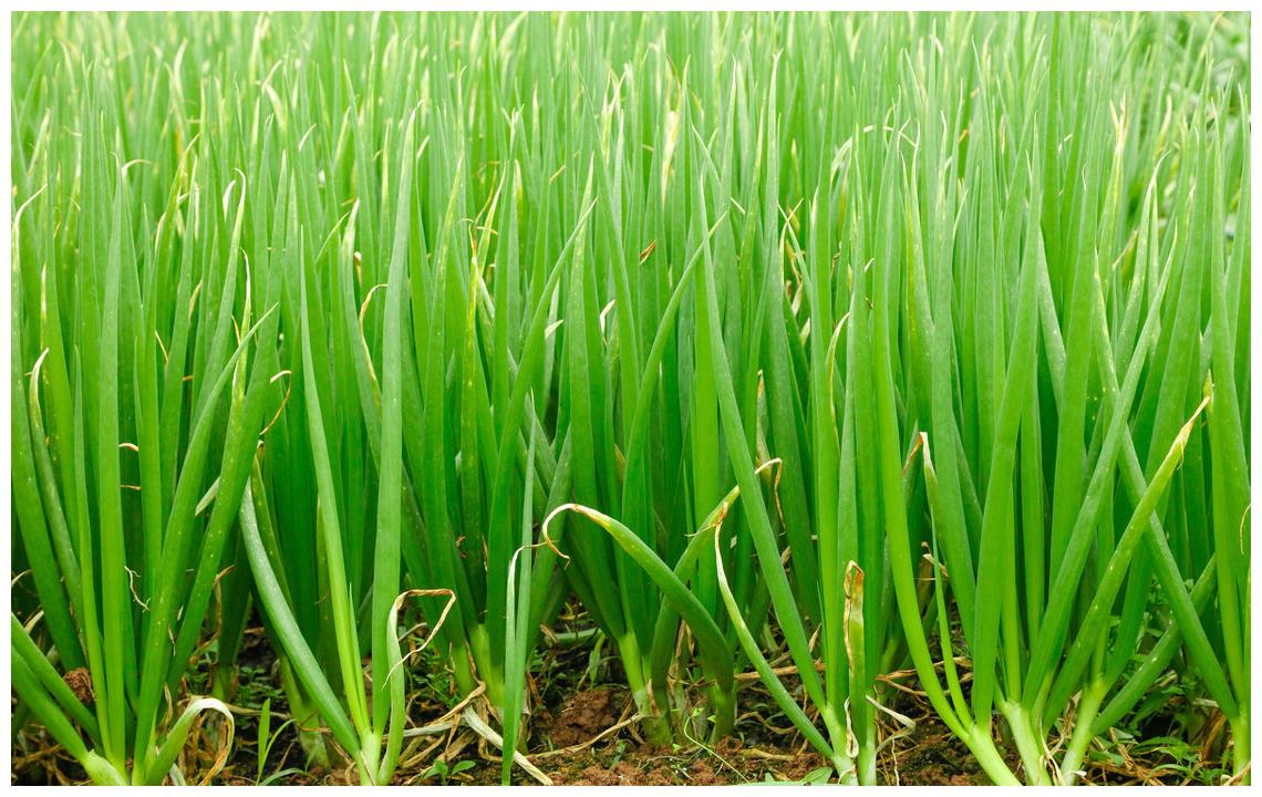 可能是这些原因引起的,根据症状巧判断