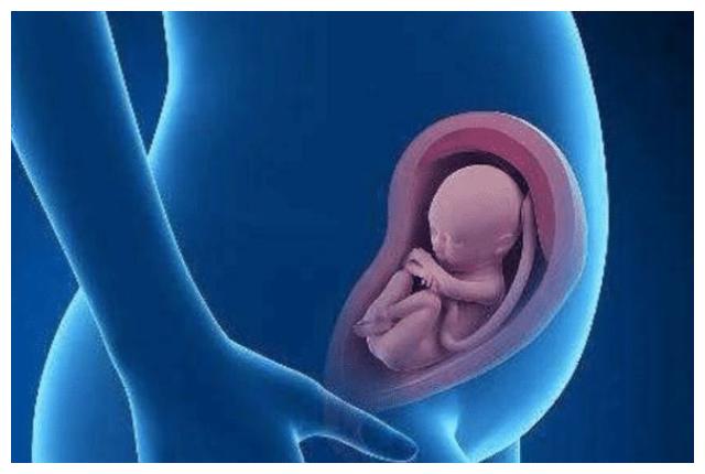 宝宝在妈妈肚子里,很怕3种声音,孕妈别不当回事