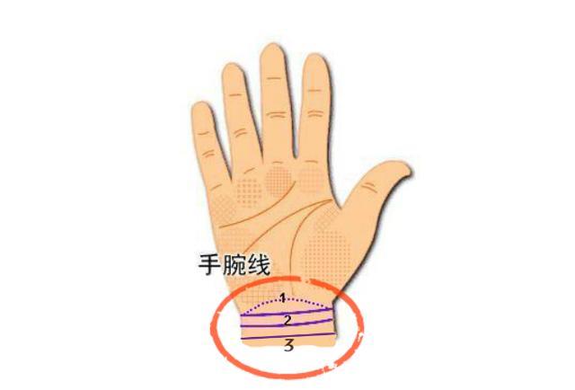 这3种手腕线的人天生富人命一生顺利有福气大贵