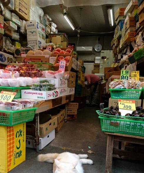 在一家日本蔬菜店里,客人抱怨老板小气,但还是人满为患