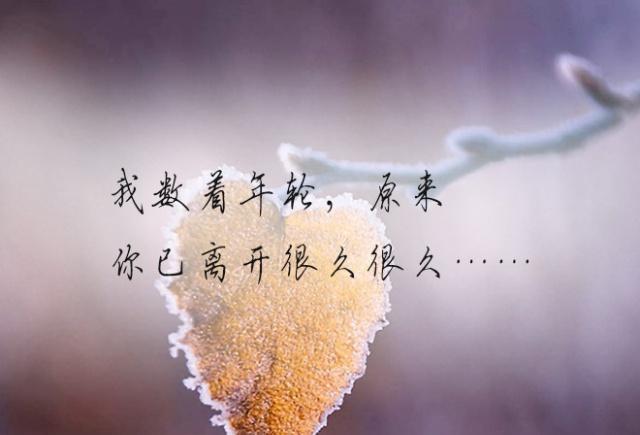 瞒着所有人把你深深埋藏在心底