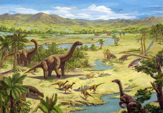 恐龙在地球上进化了上亿年，为什么没有躲过六千万年那...