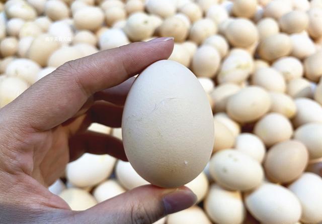 如何避免买到"人造蛋"?只需掌握这5个窍门,包你买不到假鸡蛋