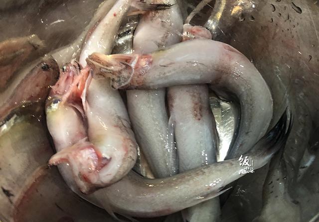 5条豆腐鱼才2块钱,尝试一个新做法,家人从没吃过,都说很好吃