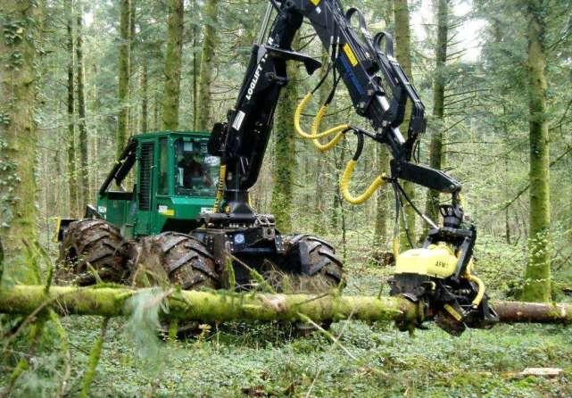 最冷漠无情的伐木机器砍树只要几秒钟工作就像玩游戏