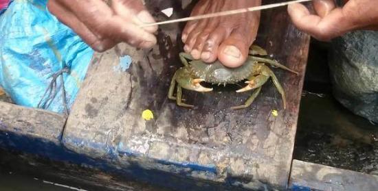 看后,保准你再也不敢在印度吃螃蟹!