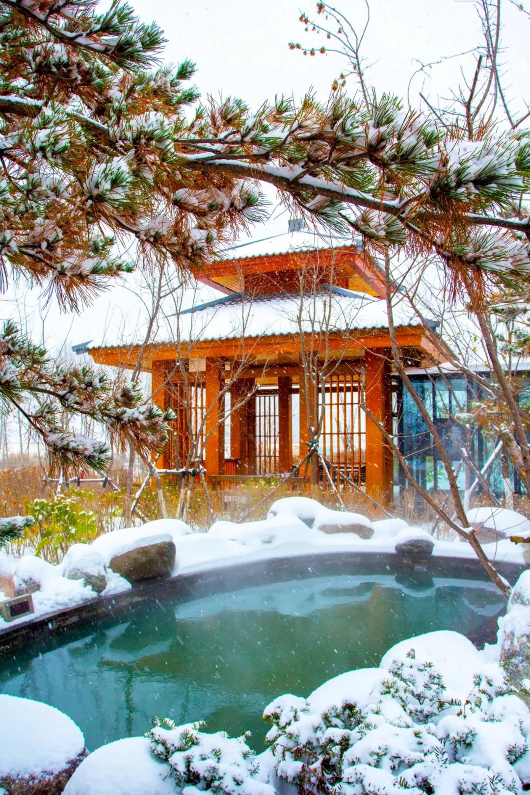 温泉之于旅人犹如人生的港湾!|旅人|身心|风雪_新浪新闻