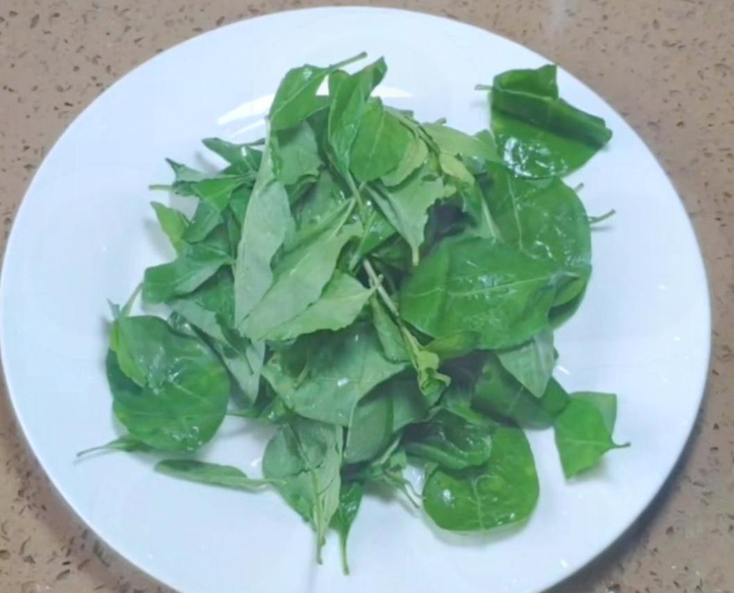 长在农村的护肝菜美味下饭和鸡蛋一起炒是天生一对