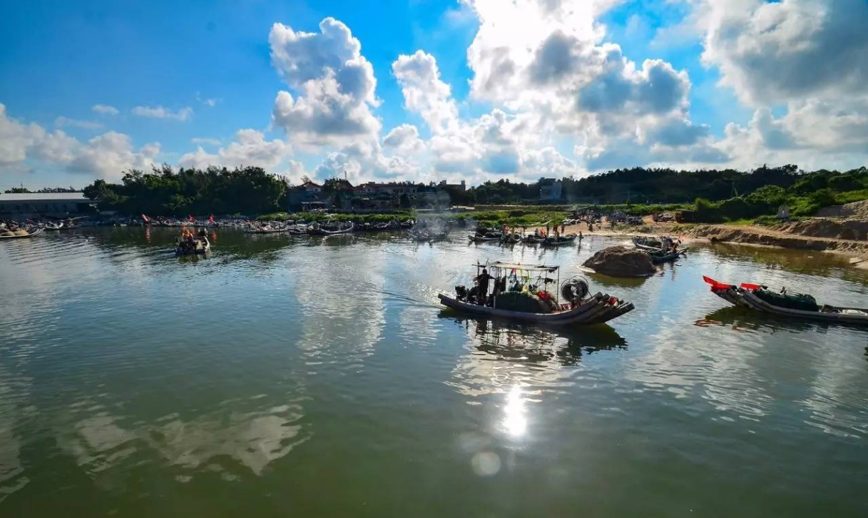 探访惠来海滨度假村海水清澈沙质细腻椰树林立榕树成荫