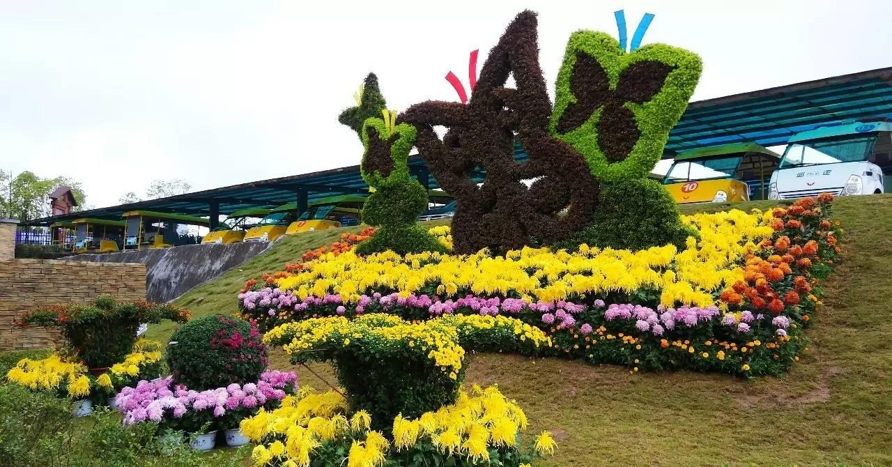 重庆有一处湖泊景点,岛屿围成天然"寿"字,是重庆的中心花园|长寿湖