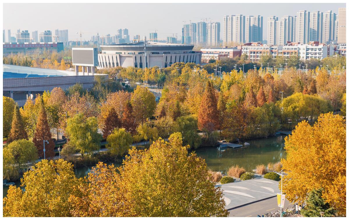 鄭州大學,法桐遍佈,四時有景.