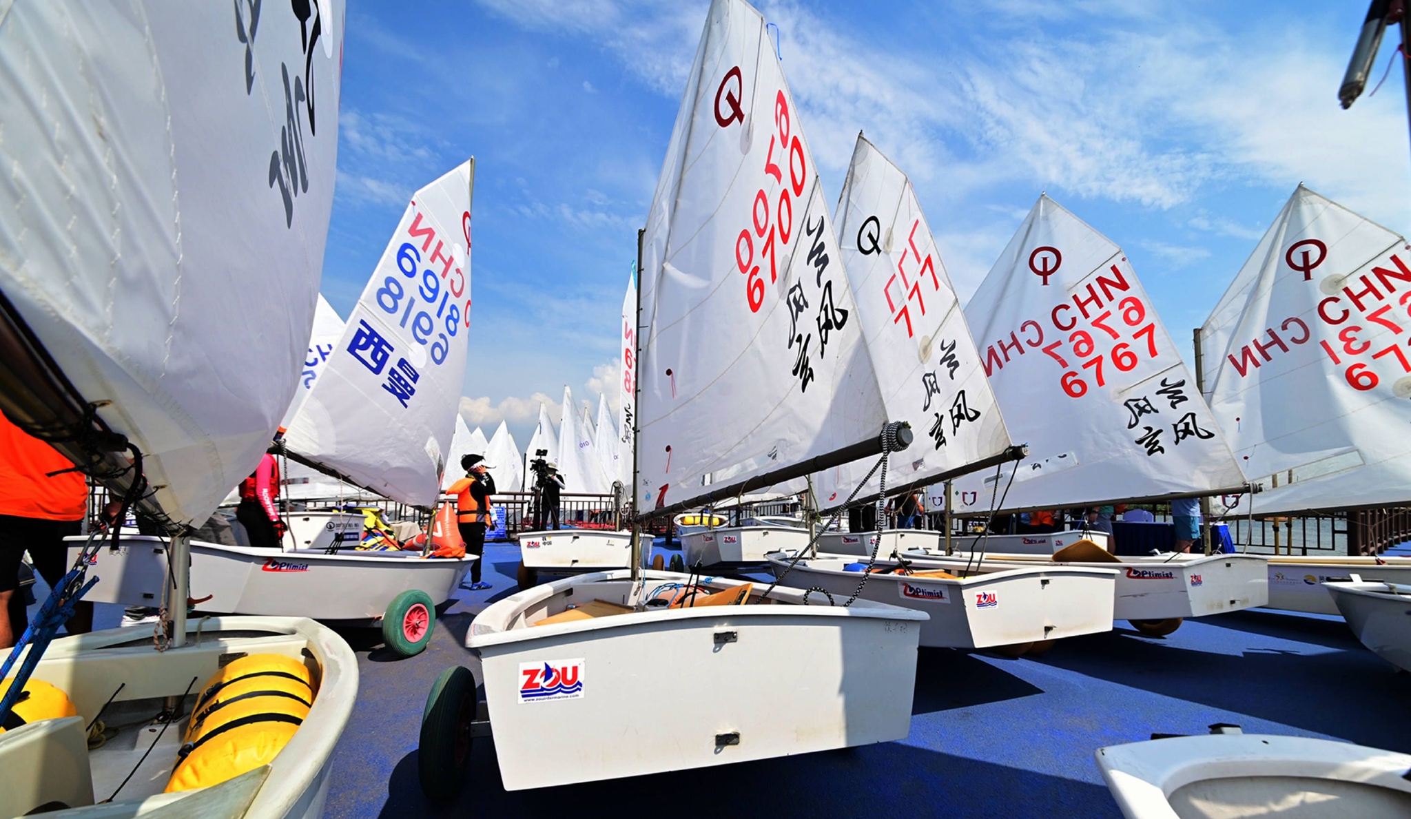 玫瑰园|帆船俱乐部|鹅_新浪新闻